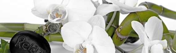 Bamboo Fusion Massage: A Great Technique for Deep Tissue Work